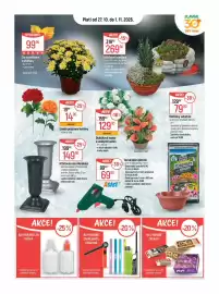 Globus leták týden 44 Strana 18: Herakles hřbitovní váza €149,90, LED svíčky