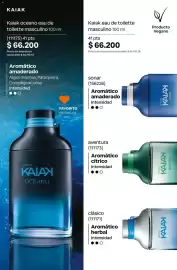 Catálogo Natura Página 105