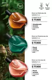 Catálogo Natura Página 117
