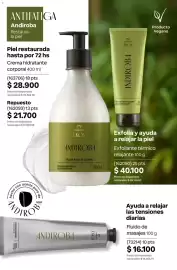 Catálogo Natura Página 219