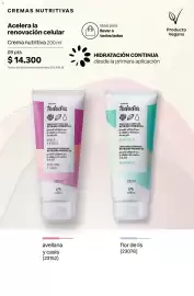Catálogo Natura Página 235