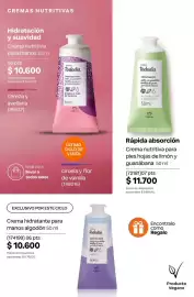 Catálogo Natura Página 236