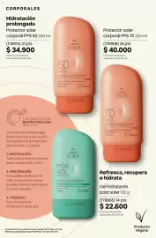Catálogo Natura Página 252