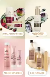 Catálogo Natura Página 258