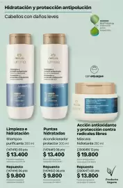 Catálogo Natura Página 289