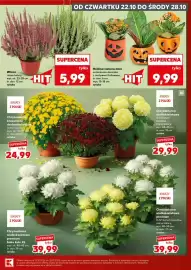 Kaufland gazetka Strona 5
