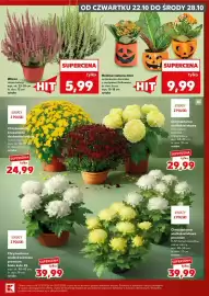 Kaufland gazetka Strona 5: Wrzos €5,99, Roślina zielona mini ceramiczna doniczka z motywem Halloween €9,99
