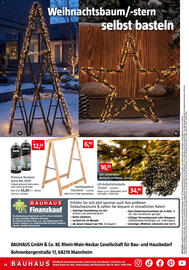 Bauhaus Prospekt Seite 24: Platinum Buntlack-Spray RAL 9005 €12,25, LED-Lichterkette €16,95
