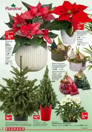 Bauhaus Prospekt Seite 18: Christrose €3,99, Piardino Weihnachtsstern €3,99