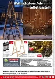 Bauhaus Prospekt Seite 24: Platinum Buntlack-Spray RAL 9005 €12,25, LED-Lichterkette €16,95