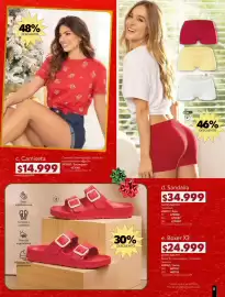 Catálogo Carmel Página 249