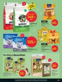 BigDollar tilbudsavis Side 13: Alpho Vitakraft €20,00, Pedigree Hundegodbidder €40,00