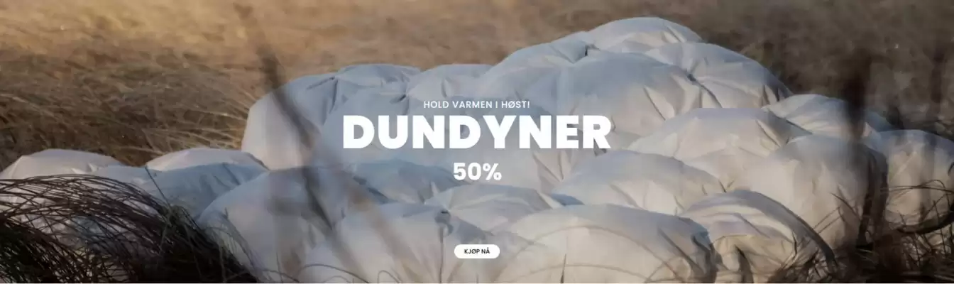 Hansen & Dysvik (gyldig til 6-11)