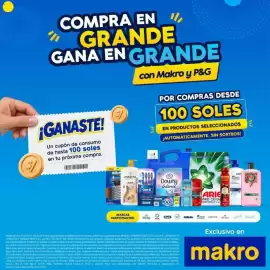 Catálogo Makro semana 43 Página 23: Makro y P&G €100,00