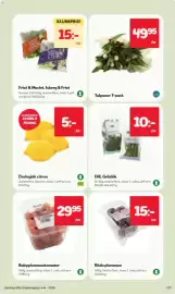 Hemköp reklamblad vecka 44 Sida 7: FRISE & MACHE ISBERG &FRISE KLUBBPRIS! 15:- /st 49 95 /st Frisé & Maché, Isberg & Frisé