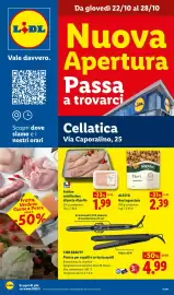 Volantino Lidl settimana 43 Pagina 1