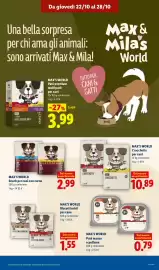 Volantino Lidl settimana 43 Pagina 13