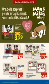 Volantino Lidl settimana 43 Pagina 13