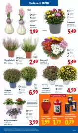 Volantino Lidl settimana 43 Pagina 37