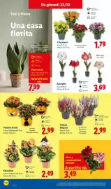 Volantino Lidl settimana 43 Pagina 36