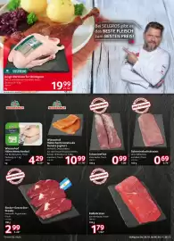 Selgros Prospekt Seite 3: Wiesenhof Hähnchenbruststeaks Tomate Joghurt €10,99, Schweinelachsbraten €0,69