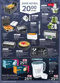 Selgros Prospekt Seite 6: PROFI COOK Sandwichtoaster €24,99, BRITA Wasserfilter-Kartuschen €25,00