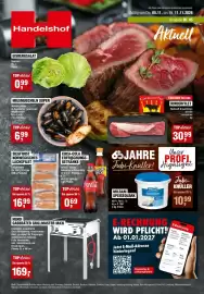 Handelshof Prospekt woche 45 Seite 1: EISBERG SALAT €0,99, HENDI GASBRÄTER GRILLMASTER MAXI €169,00