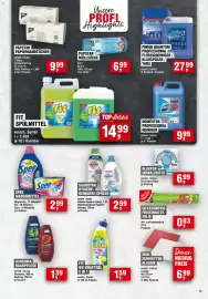 Handelshof Prospekt woche 45 Seite 15: SAGROTAN HYGIENE-REINIGER/-SPÜLER €2,99, Spee Waschmittel €2,99