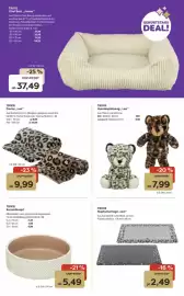 Zoo & Co Prospekt woche 44 Seite 9: TRIXIE Hundespielzeug „Leo“ €7,99, TRIXIE Napfunterlage „Leo“ €2,49