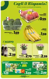 Volantino Coop Radenza Pagina 13