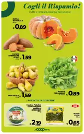 Volantino Coop Radenza Pagina 14