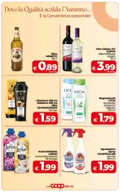 Volantino Coop Radenza Pagina 4