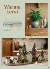 Intratuin folder Pagina 11: Calathea €6,99