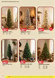 Yess folder Pagina 4: Kerstboom Alpine King €14,99, Kerstboom vertica €34,99
