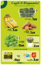 Volantino In Coop Pagina 11