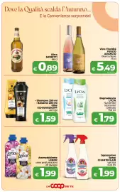 Volantino In Coop Pagina 4