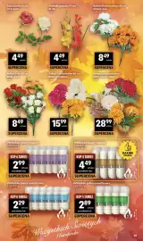 Delikatesy Centrum gazetka tydzień 44 Strona 39: Wkład do zniczy olejowy €4,49, Róża promo €4,49