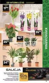Delikatesy Centrum gazetka tydzień 44 Strona 48