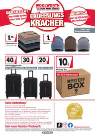 Woolworth Prospekt woche 43 Seite 8: GARANTIERT Über 6.000 Artikel unter 3.50 Euro! 175 Fleecedecke 125x150 cm WOOLWORTH
