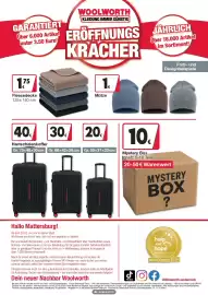 Woolworth Prospekt woche 43 Seite 8: GARANTIERT Über 6.000 Artikel unter 3.50 Euro! 175 Fleecedecke 125x150 cm WOOLWORTH