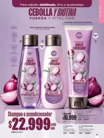 Catálogo Loguin Página 125: Fino - mascarilla fuerza y vitalidad €6.999,00