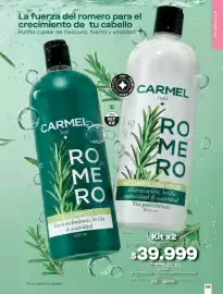 Catálogo Loguin Página 133: Hair - carmel hair romero shampoo acondicionador €39.999,00