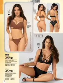 Catálogo Loguin Página 76: Brasier con varillas y cargaderas graduables. ajustado €45.999,00