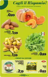Volantino Coop Pagina 14: Rucola COOP €0,65, Lattuga Trocadero €0,89