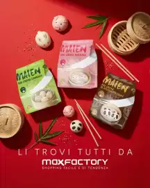 Volantino Max Factory Pagina 5