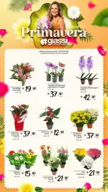Encarte Giassi Supermercados semana 43 Página 1