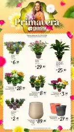 Encarte Giassi Supermercados semana 43 Página 2