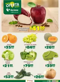 Catálogo Soriana Súper Página 2