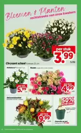 Dekamarkt (geldig t/m 2-11)
