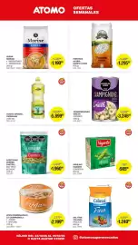 Catálogo Atomo Conviene Página 3: Cañuelas aceite girasol €5.899,00, Castell aceitunas verdes rodajas €1.960,00
